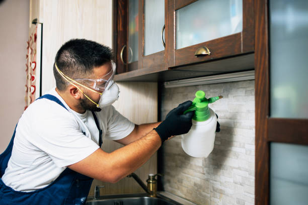 Best Cockroach Control Services  in Castle Point, MO