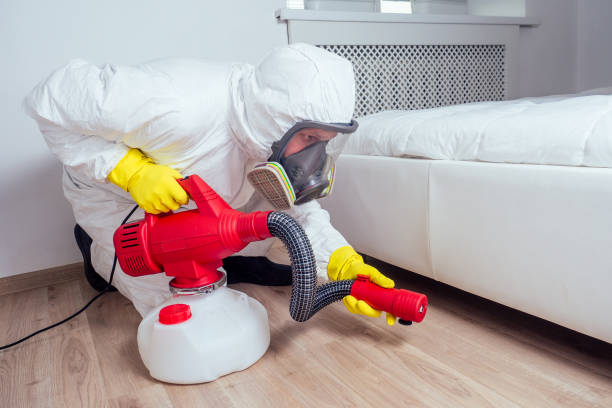 Best Affordable Pest Control Services  in Castle Point, MO