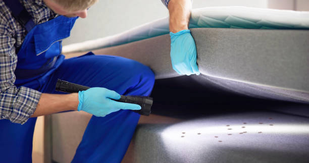 Best Rat Extermination Near Me  in Castle Point, MO