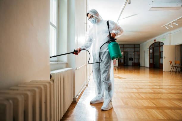 Best Bed Bug Extermination  in Castle Point, MO