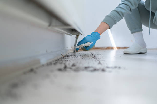 Best Pest Removal Services  in Castle Point, MO
